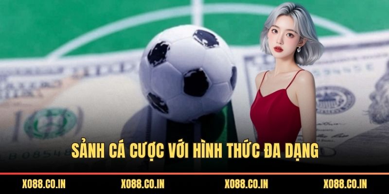 Sảnh cá cược với hình thức đa dạng