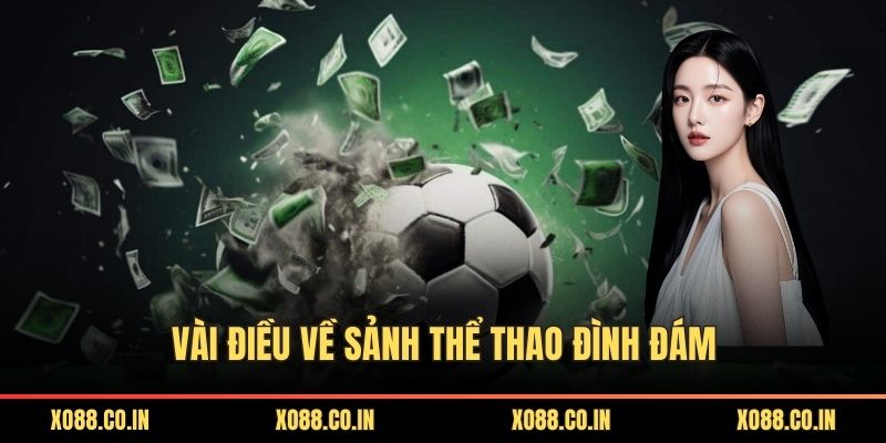 Vài điều về sảnh thể thao đình đám